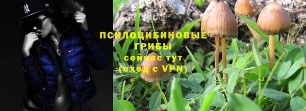 мет Абаза