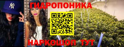 гидра Анжеро-Судженск