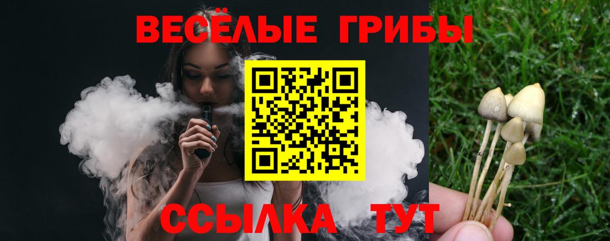 Галлюциногенные грибы прущие грибы  как найти наркотики  Псилоцибиновые грибы Psilocybe  Североморск  Вход с VPN 